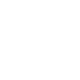 Experiência Comprovada