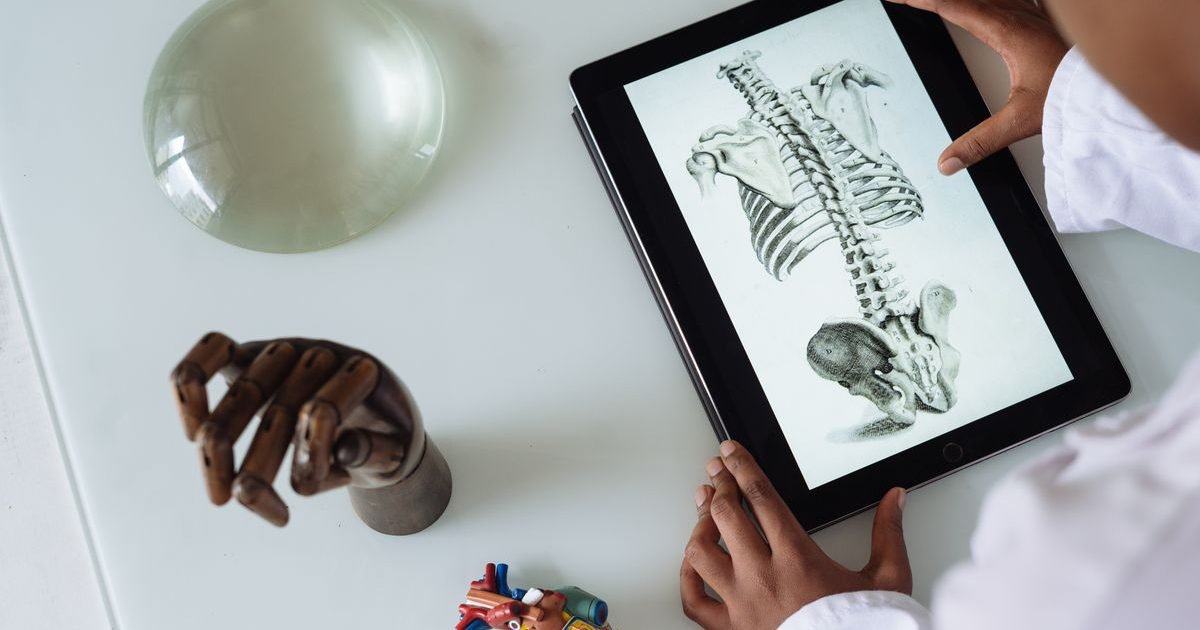 Médico estudando a anatomia da coluna vertebral em um tablet, com modelos anatômicos sobre a mesa