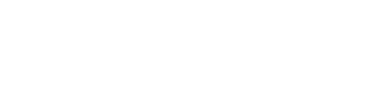 EndoColuna