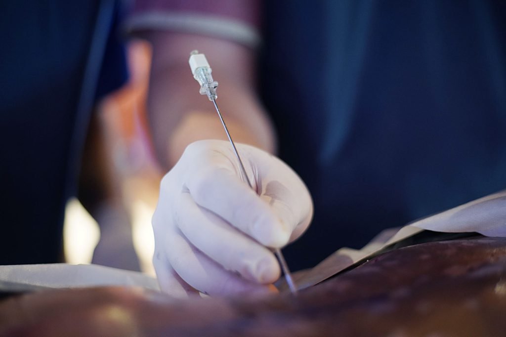 Punção guiada durante o treinamento de cirurgia endoscópica da coluna em cadáver